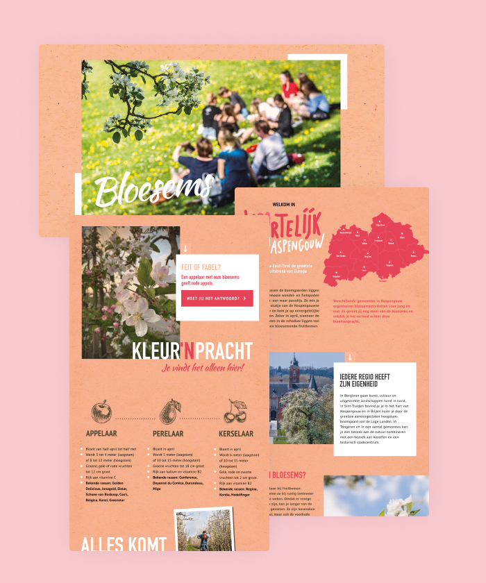 This interactive magazine entices the audience with various things to do in Haspengow, and places you have to see.